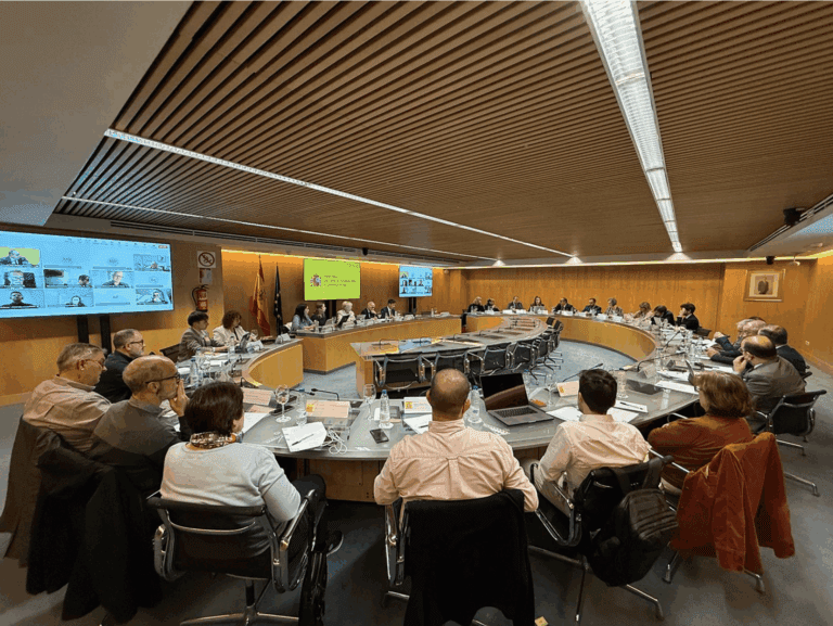 Comisión 20 nov. 2024